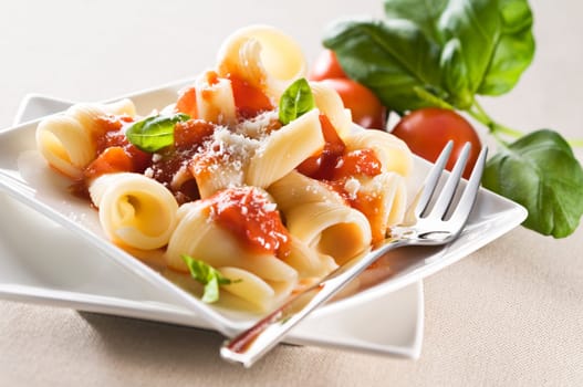 Sconcigli with tomato sauce basil and grated parmesan