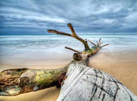 Timber on the beach with incoming storm - Dominican Republic