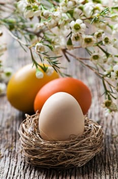 Easter eggs in nest close up shoot