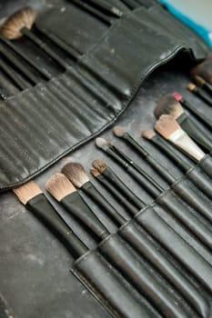 Brushes set to Make-up in a tool bag