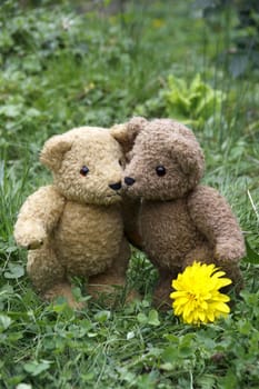 Two teddy bears hugging each other in a meadow