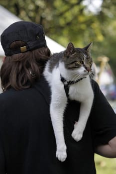 Cat on her master's shoulder