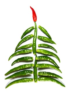 Spicy chili New Year Tree isolated on white