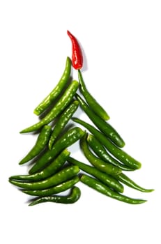 Spicy chili New Year Tree isolated on white