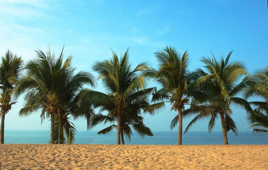 Paradise symbol  Palmas sun sea. Best place for tourism and relaxation.