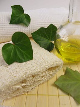 Ivy oil