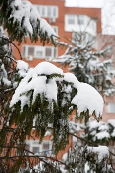 Snowstorm. Narymsky park, Novosibirsk, Siberia. January 2007