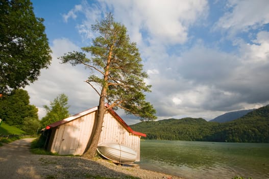 Boathouse at Lake Weissensee in the Allgäu / Bavaria with pine tree in front of it under blue sky and individual veil clouds in the summer evening light