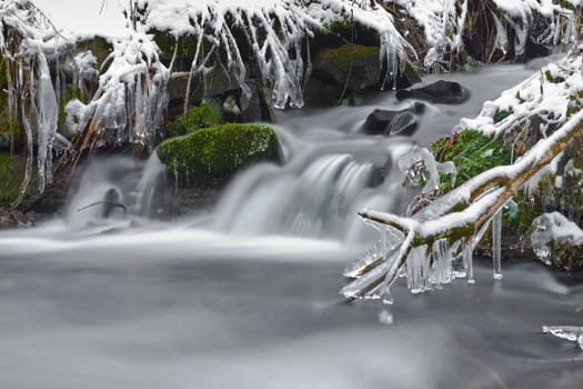 in winter