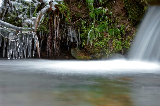 in winter