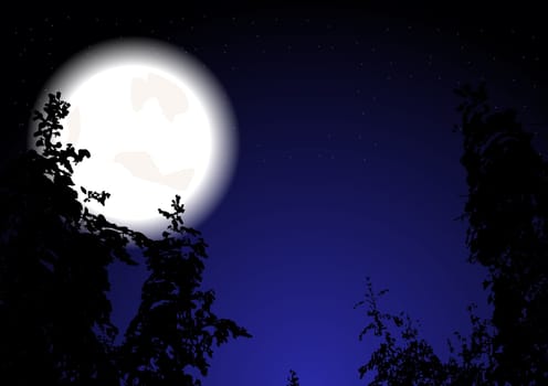 Night wood and the full Moon (eps 10)