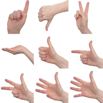Collection of nine different hand signs of a woman
