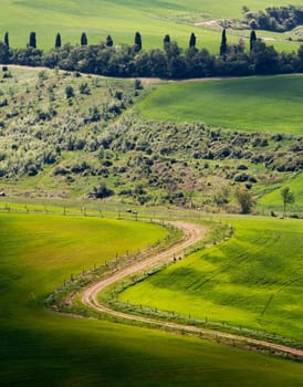 Rural green landscape in Tuscany - Italy
