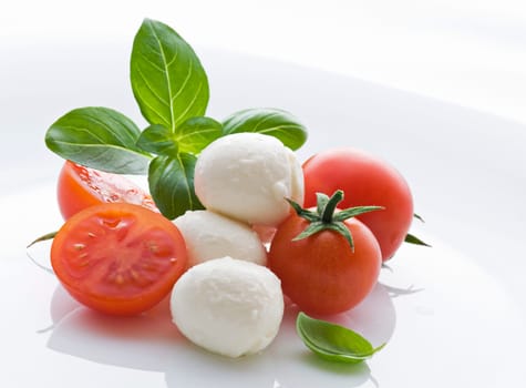 Tomato, mozzarella and fresh basil close up shoot