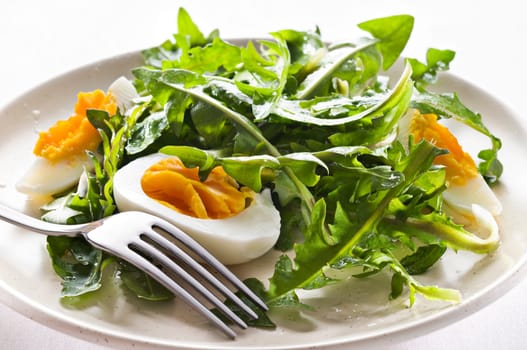 Fresh green dandelion salad on a plate close up