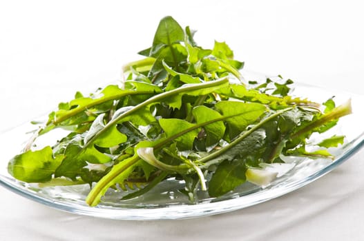Fresh green dandelion on a plate close up