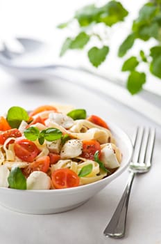Sliced tomato and mozzarella with pasta close up