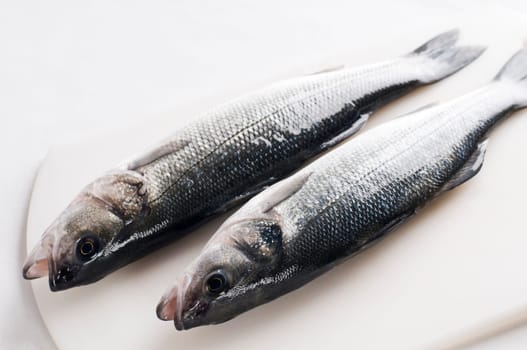 Fresh raw sea bass close up shoot
