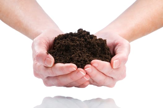 women hand holding soil isolated on white