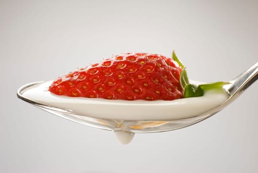 fresh strawberry fruit on a spoon with yogurt close up