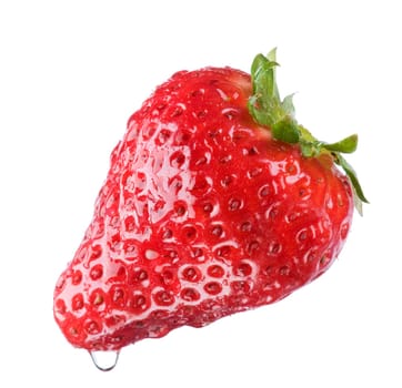 fresh wet strawberry fruit isolated on white