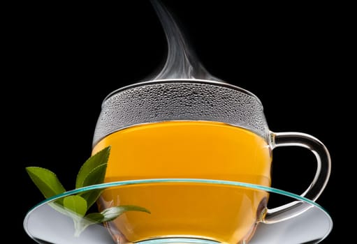 green tea isolated on black from low perspective