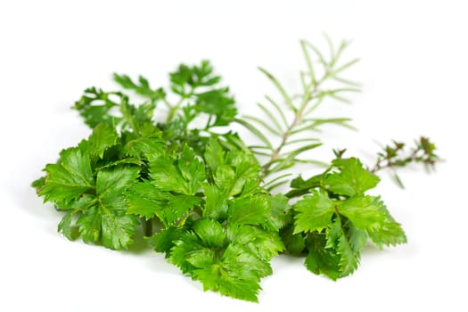 Celery,thyme and rosemary,optional