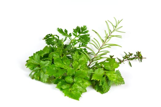Celery,thyme and rosemary,optional