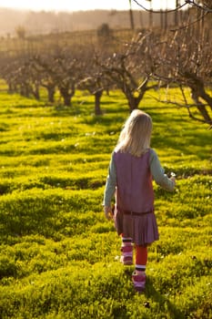 Cute little girl outdoors on a green field with flowers and pear trees.