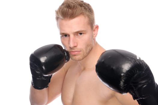 Studio shot of a boxer against a white background