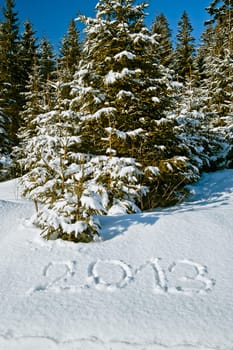 Year 2013 written in Snow with Winter Forest