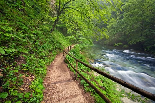 Beautiful river canyon Vintgar in Bled - Slovenia