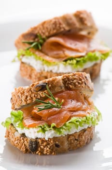 Fresh salmon sandwich on a plate close up