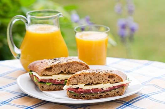 Fresh prosciutto sandwich with juice close up