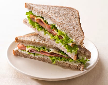Fresh toast sandwich with ham and cheese close up shoot