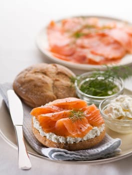 Fresh salmon sandwich on plate close up shoot
