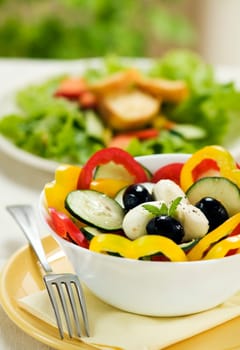 Greek salad with black olives, pepper, cucumber and mozzarella close up