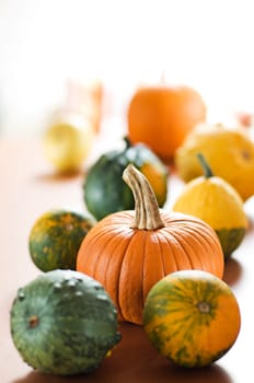 Various pumpkins on the table close up shoot