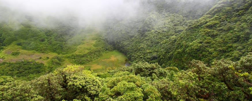 Fog descends into The Crater below Mount Liamuiga on Saint Kitts.