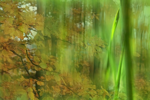 DigiArt - The Gentle Autumn