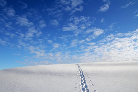 Snow up to the sky