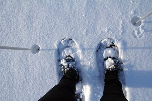 On the road with snowshoes