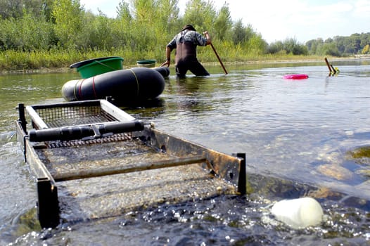 prospector panning for gold in rivers in France in the Gard region