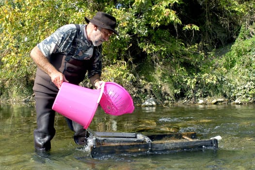 prospector panning for gold in rivers in France in the Gard region
