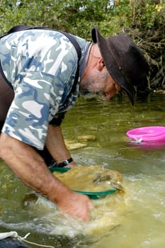 prospector panning for gold in rivers in France in the Gard region