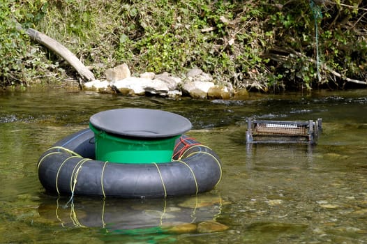 prospector panning for gold in rivers in France in the Gard region