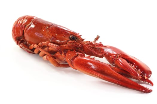 A boiled lobster against a white background