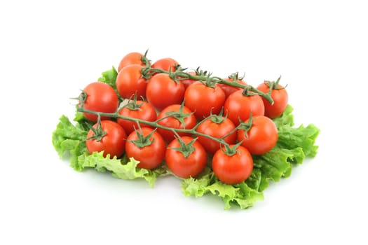 details of cherry tomato isolated on white