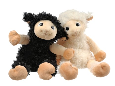 Two cute plush lambs isolated on white