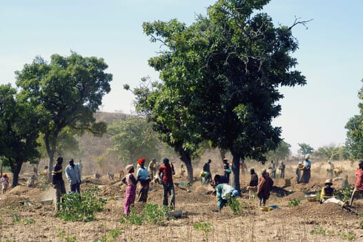 To the goldmine of Poura the gold diggers come from everywhere in the hope of finding a little gold after the season of the cultures. Women, children and men of very old are here in a universe of dust under a blazing sun. In Burkina Faso Faso the research